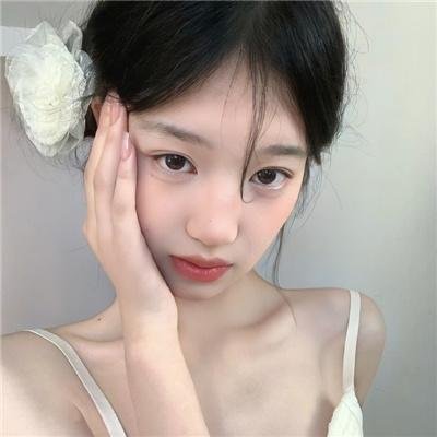 北极征熊记